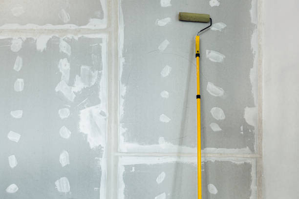 Mold Documentation for Insurance Claims in Custer, SD