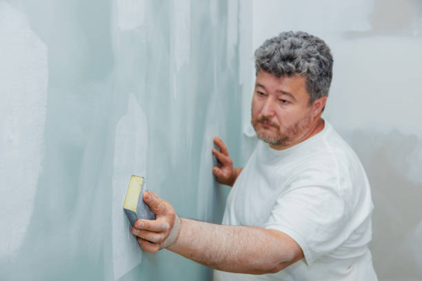 Best Commercial Mold Inspection  in Custer, SD