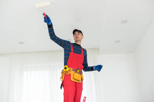 Professional Mold Removal in Custer, SD