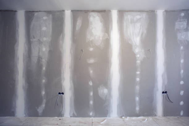 Mold Remediation for Rental Properties in Custer, SD
